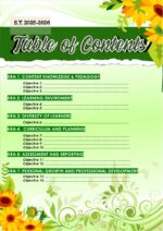 PMES for TI-TVII_Fully Editable in MS Powerpoint - Image 2