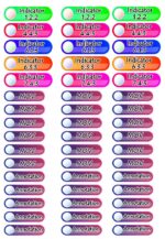 Portfolio Package for Reclass to Master I-III_MS Ppt Editable - Image 3