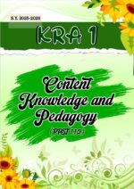 PMES for TI-TVII_Fully Editable in MS Powerpoint - Image 4