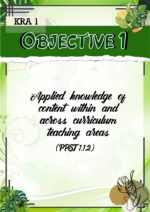 PMES for TI-TVII_Fully Editable in MS Powerpoint - Image 5