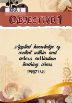 PMES for TI-TVII_Fully Editable in MS Powerpoint - Image 5