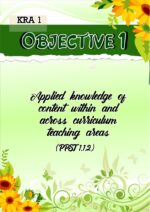 PMES for TI-TVII_Fully Editable in MS Powerpoint - Image 5