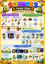 _Grade 3_Bulletin & Display_Yellow Bundle